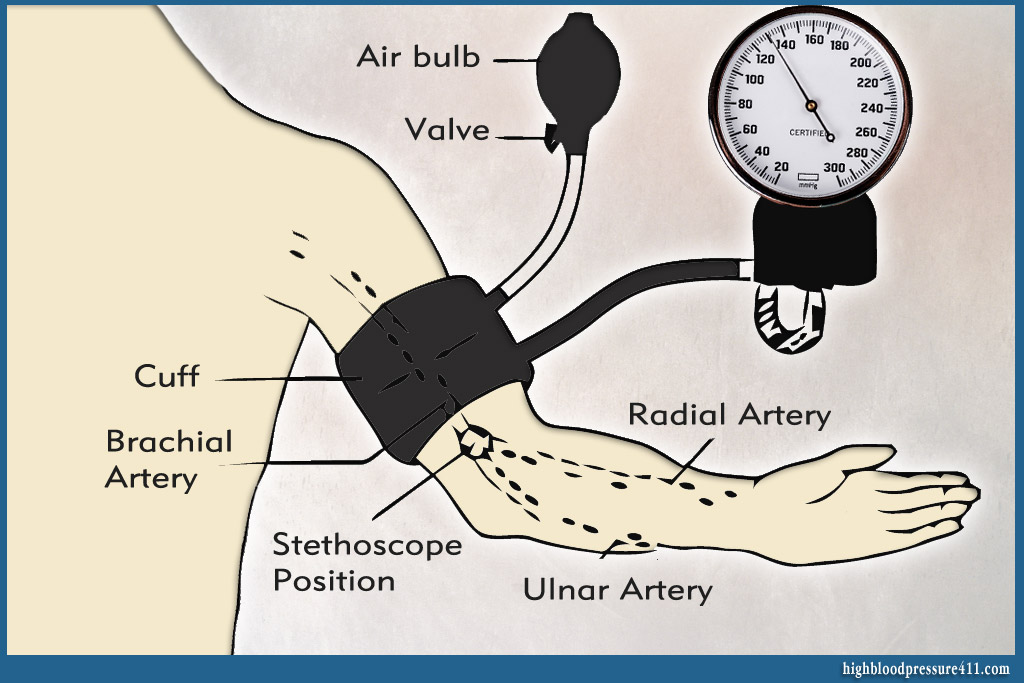 Manual blood pressure monitor parts