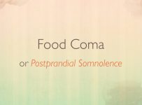 Food Coma – What causes Postprandial Somnolence?